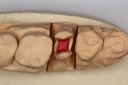 Roland Ylarde model