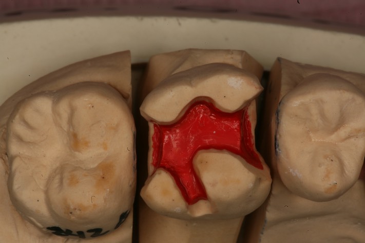 Larry Fujioka model